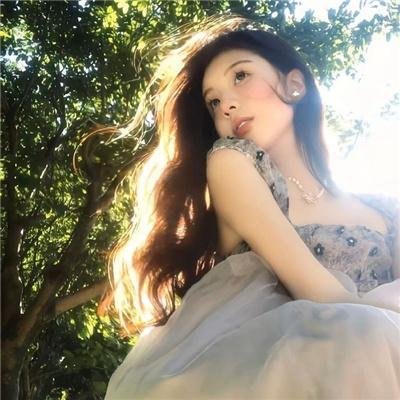 铁马金军